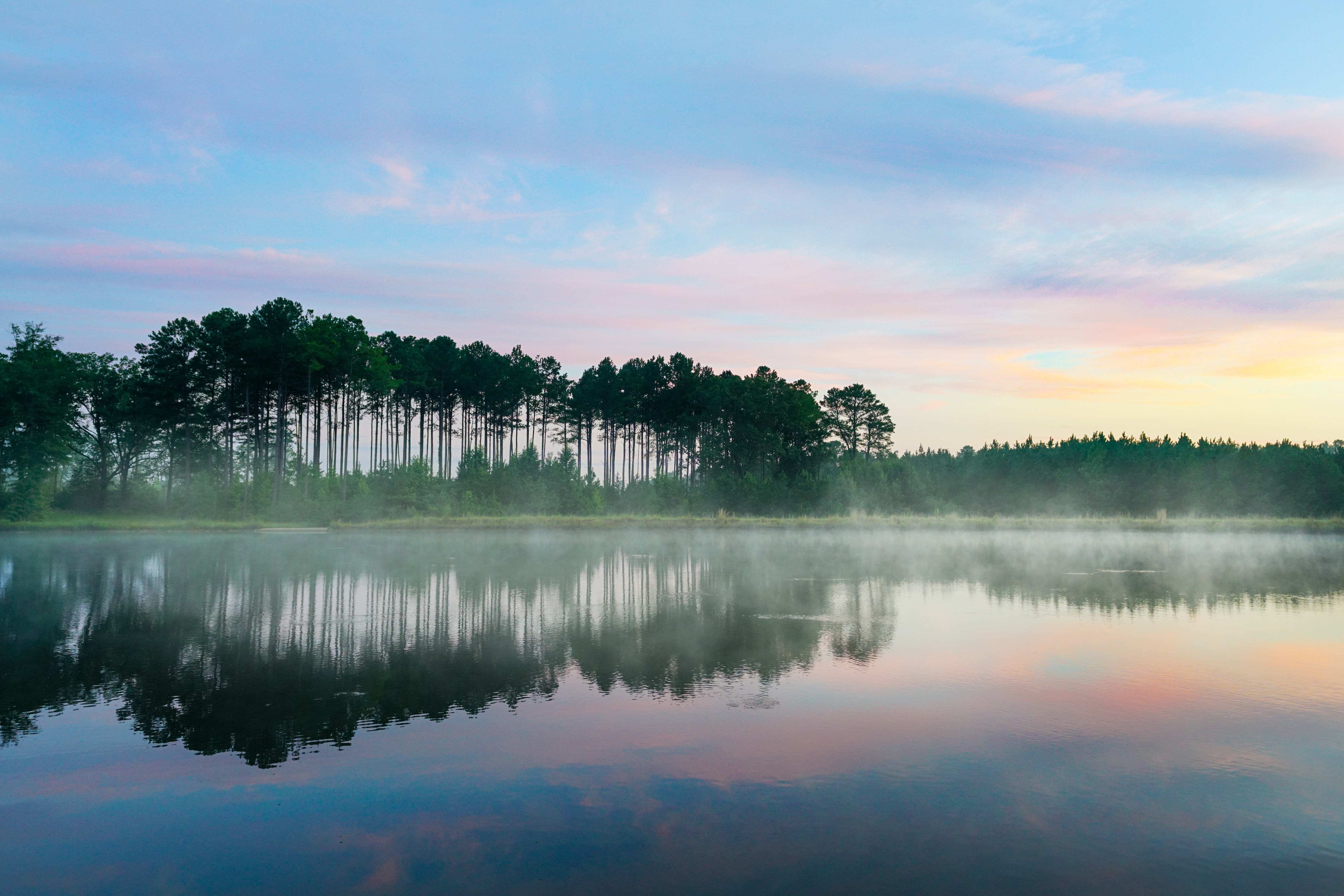 foggy lake with trees reflected in water