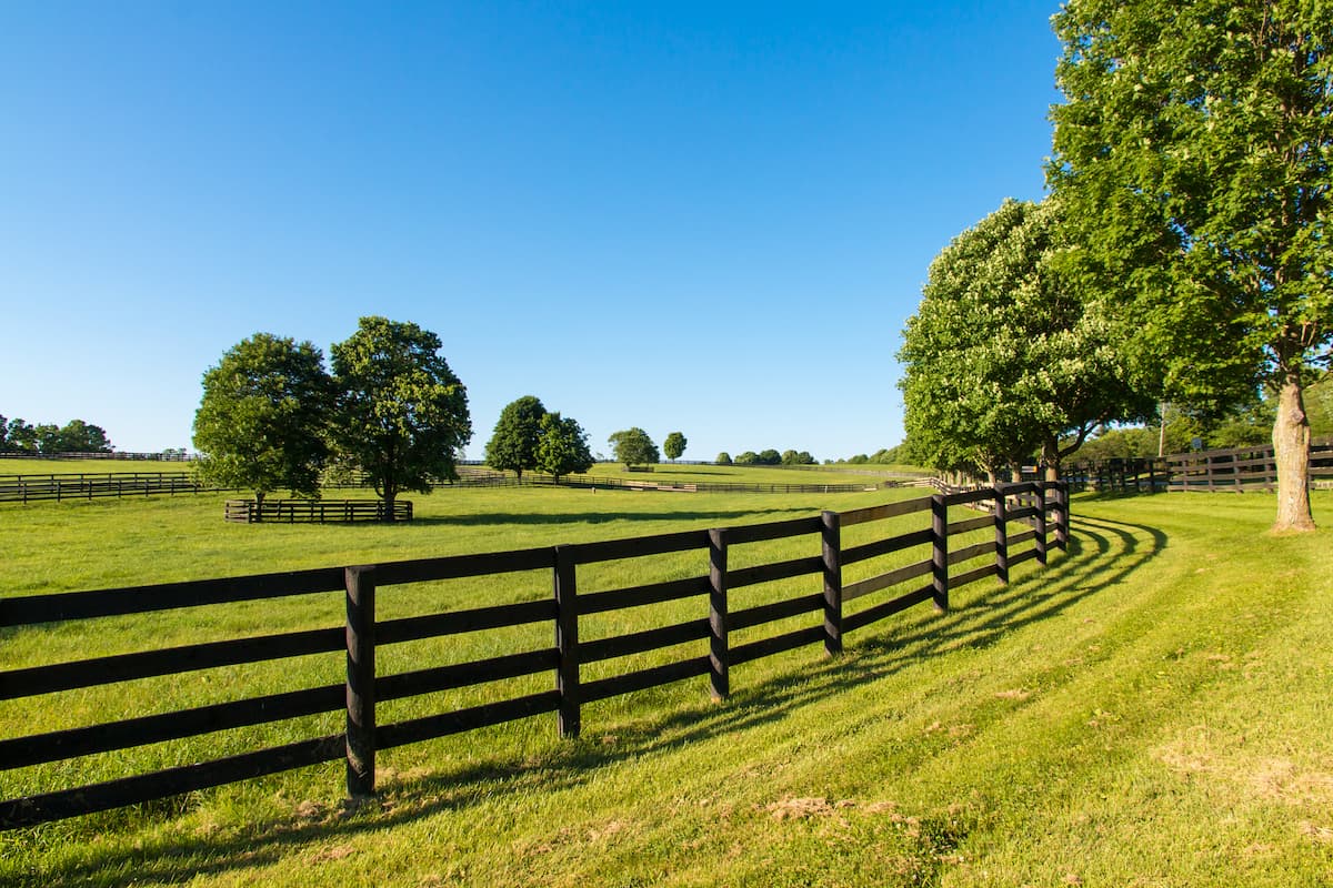 Rolling hills with dark wood fences at Kentucky horse farm