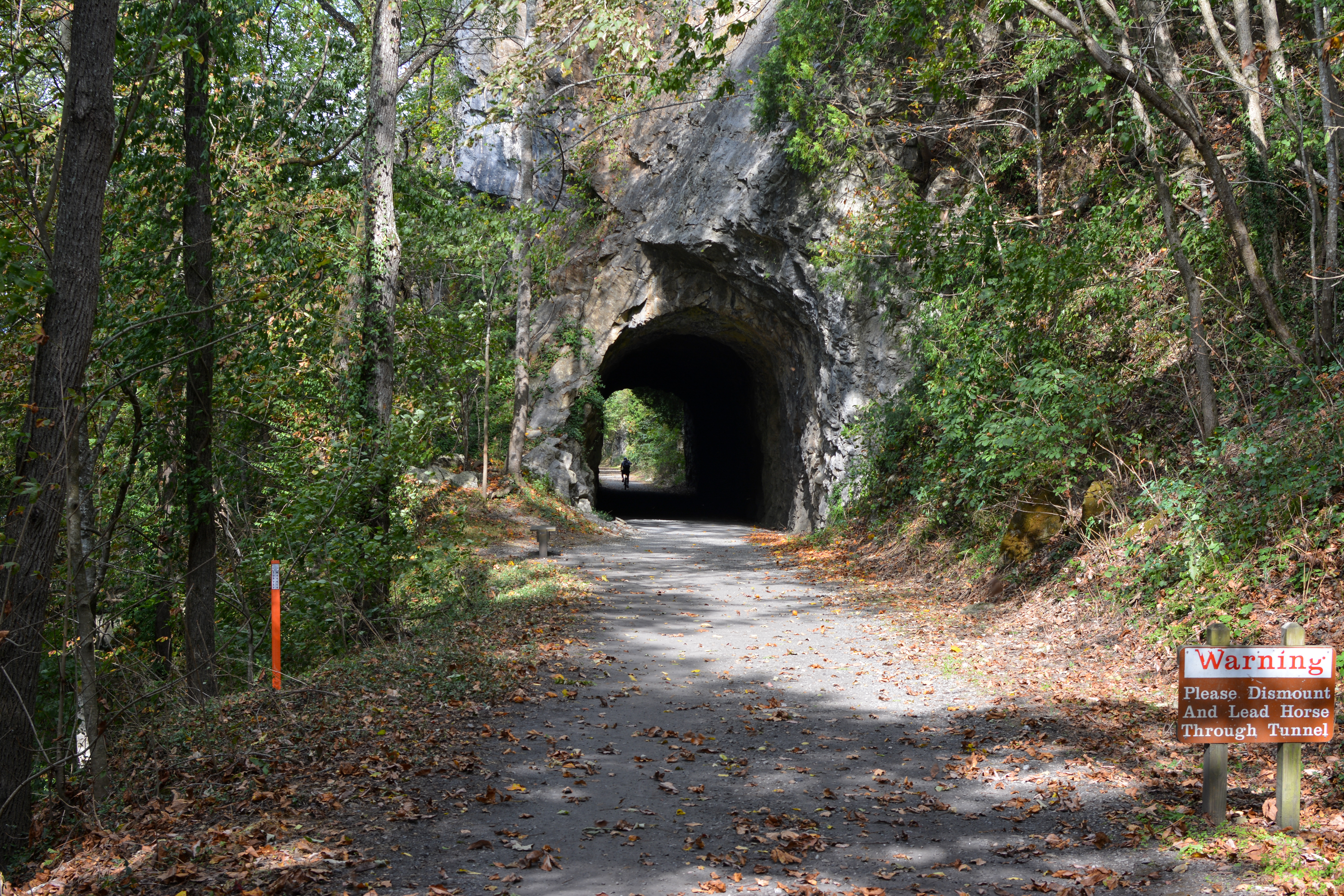 bike in a tunnel along a wooded trail