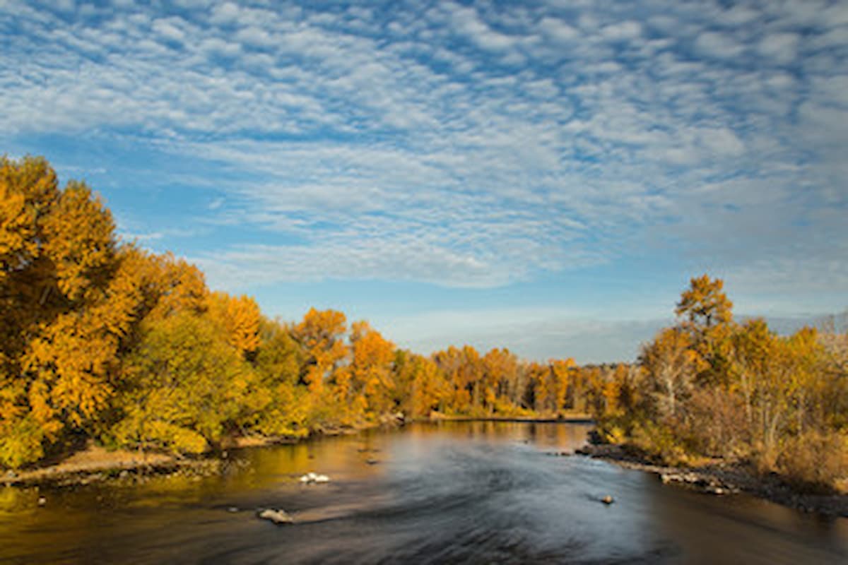 tree lined river with people enjoying the water on a sunny day