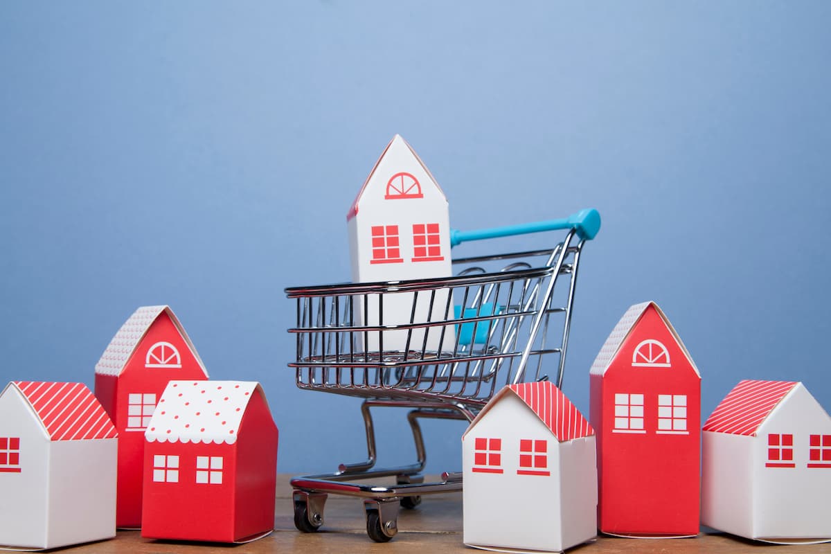mini-cardboard-homes-in-shopping-cart