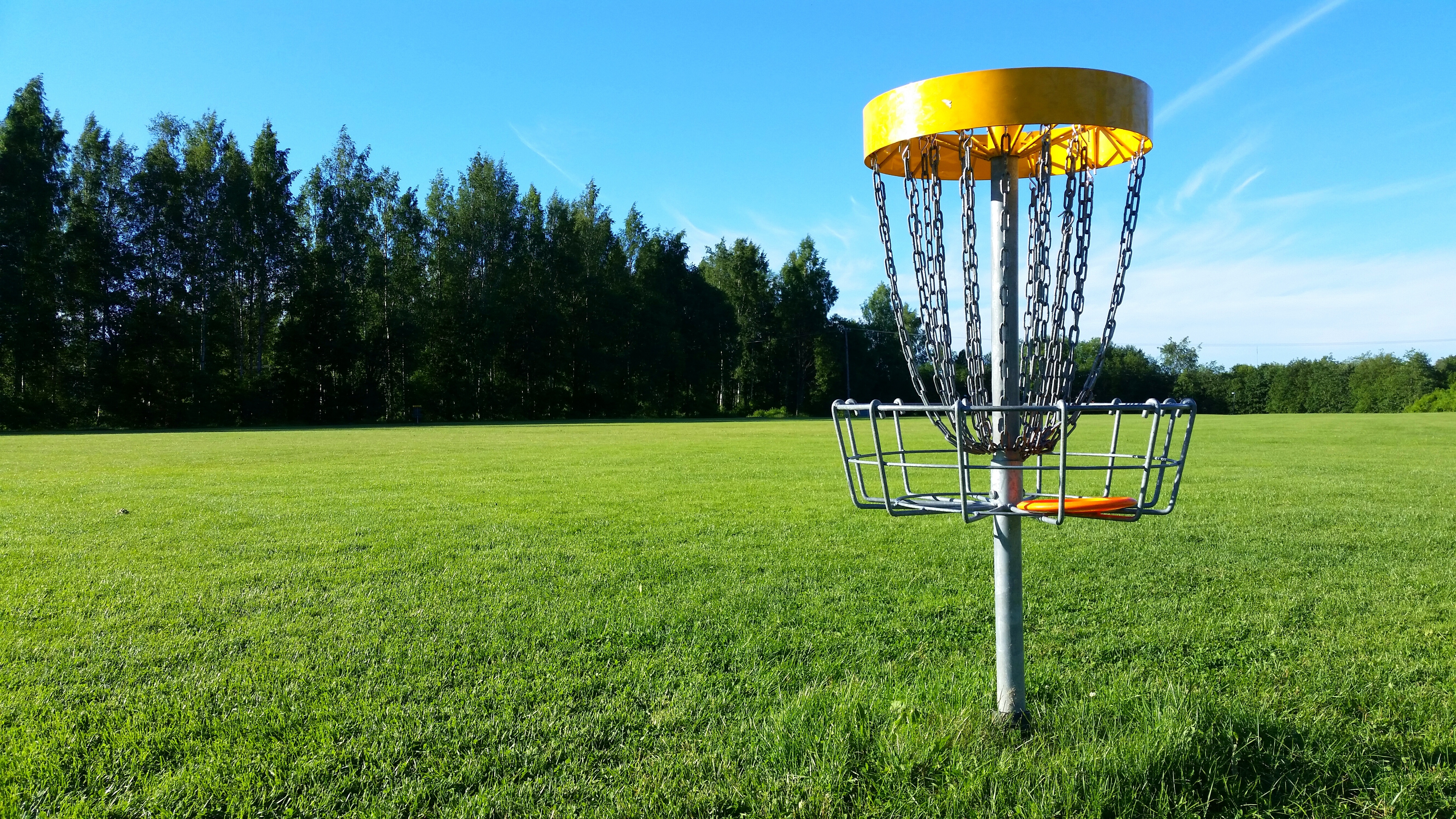 green field with an empty disc golf basket on a sunny day