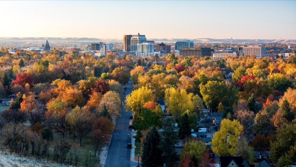 Orange and yellow tree tops leading up to the Boise skyline in the background.