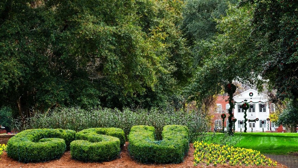 georgia southern university in statesboro, ga