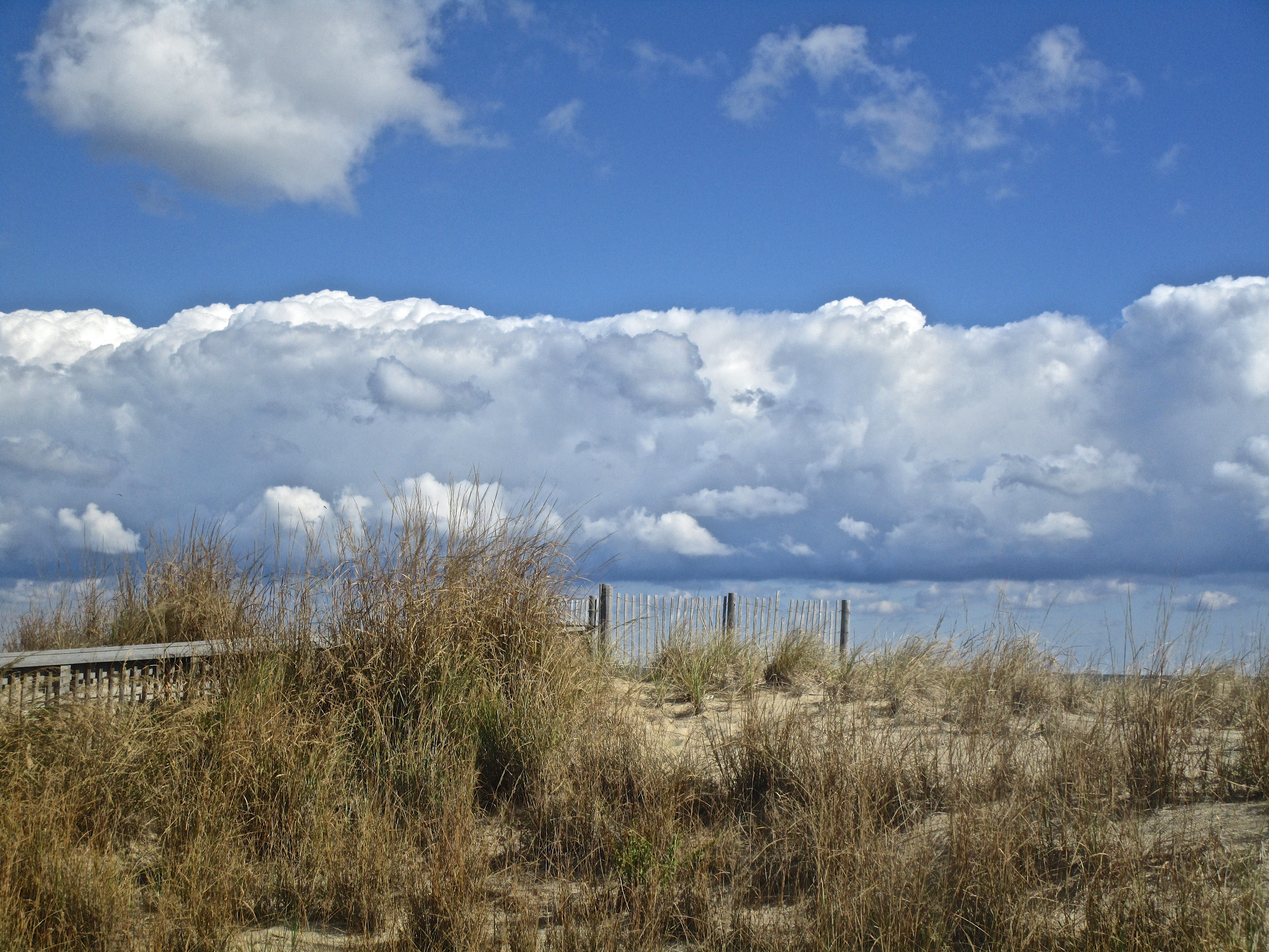 Atlantic Ocean views with beautiful clouds and grassy dunes at a beach