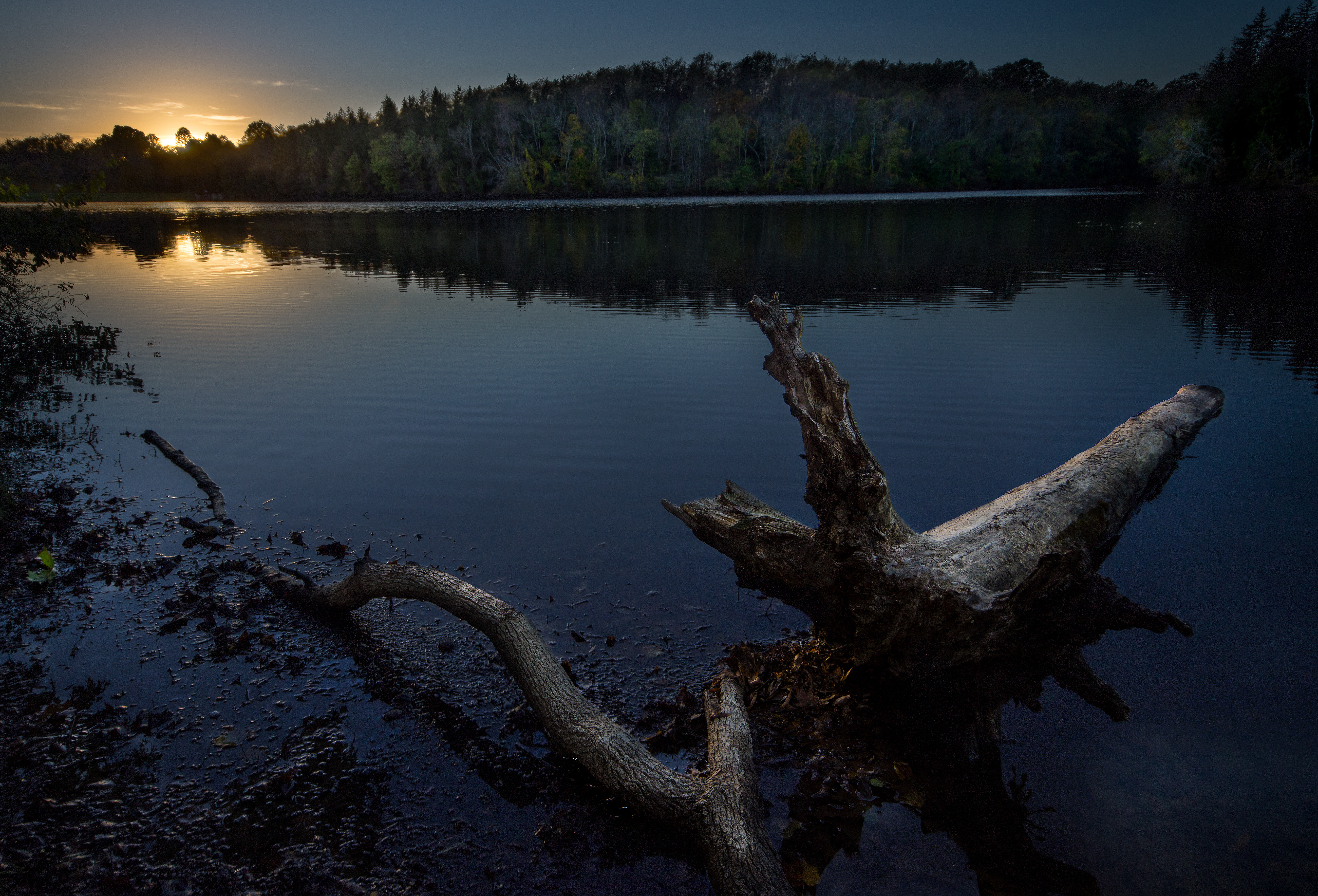scenic view of lake with sunset in the background and large tree branch in water in foreground