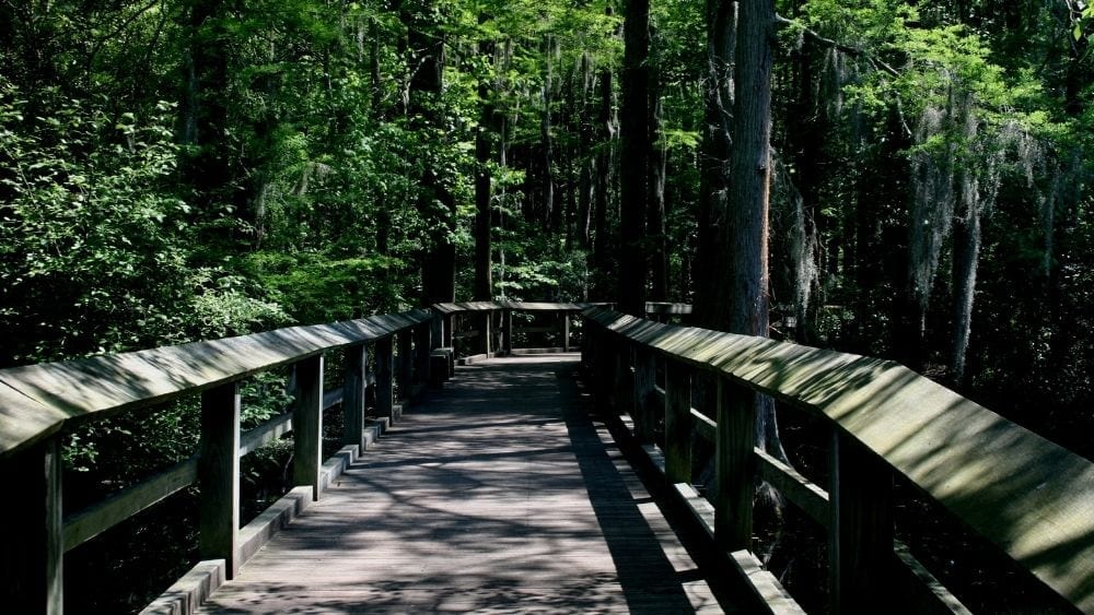 Orangeburg, South Carolina