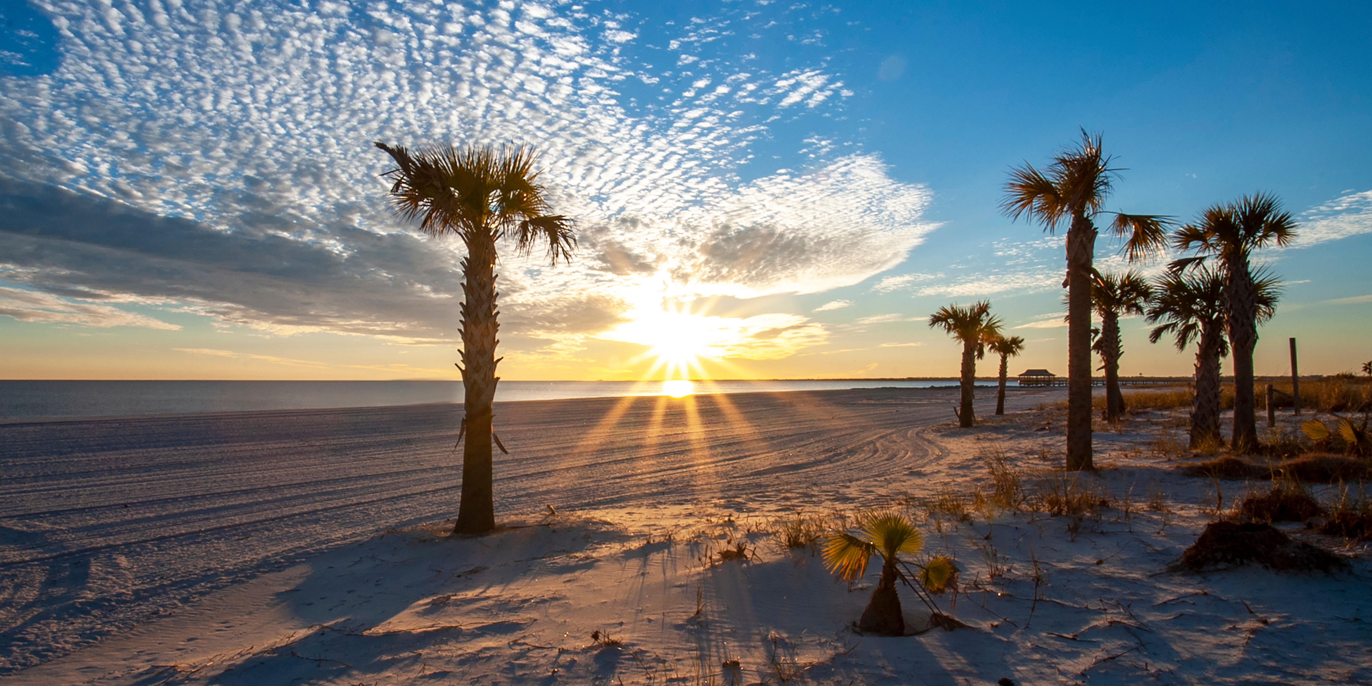 Sunshine and vibrant clouds on a beach with palm trees