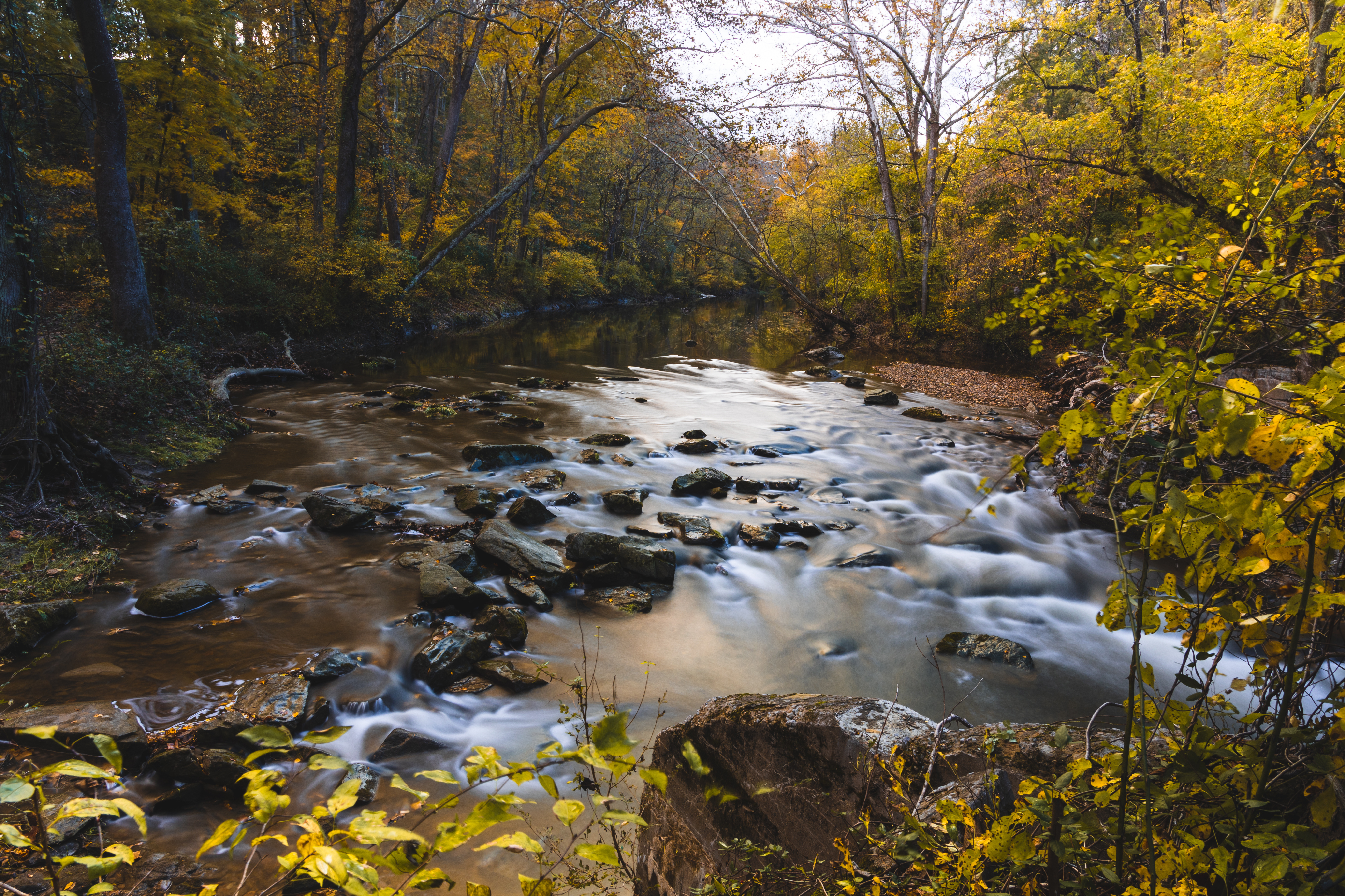 beautiful fall day with tree lined creek
