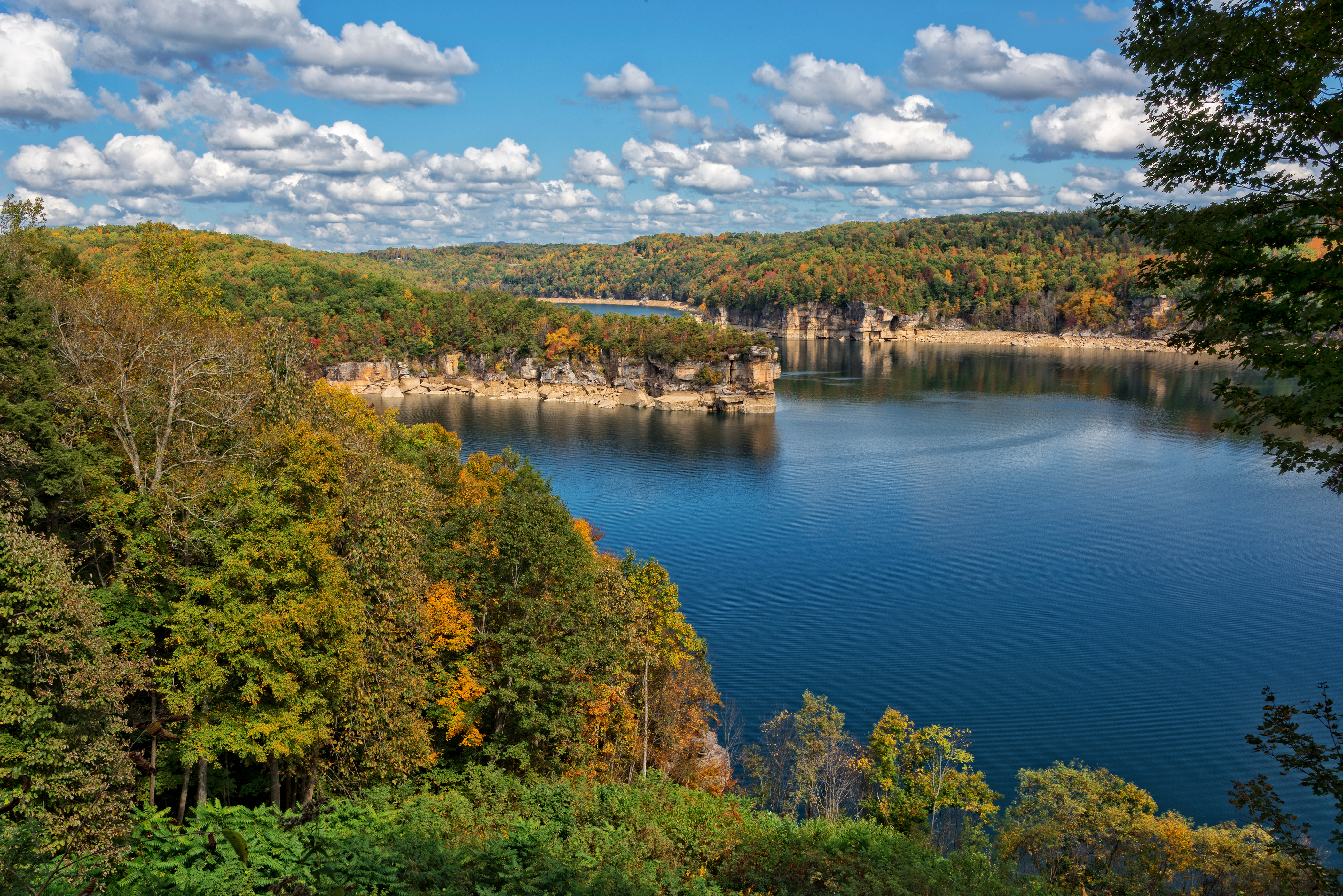 Overlook of tree lined Lake Summersville