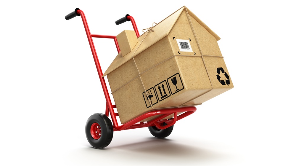 cardboard-box-house-dolly