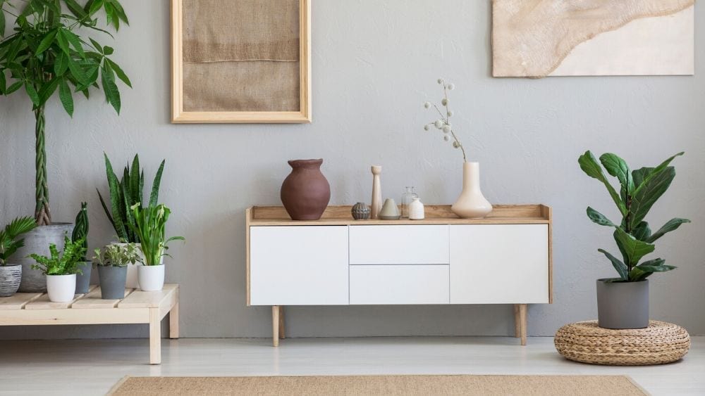 entryway with plant table, bureau, and plant stool