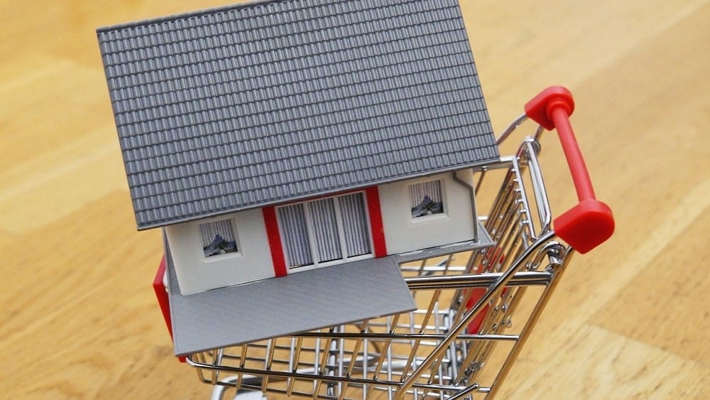 Miniature house inside of a shopping cart.