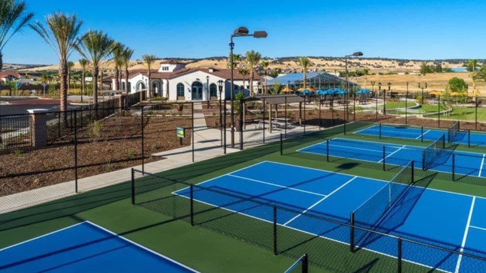 Gated tennis courts lined by palm trees.