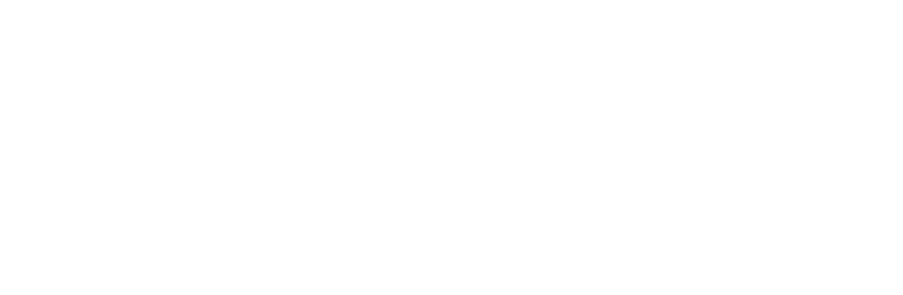 Coca Cola logo in white