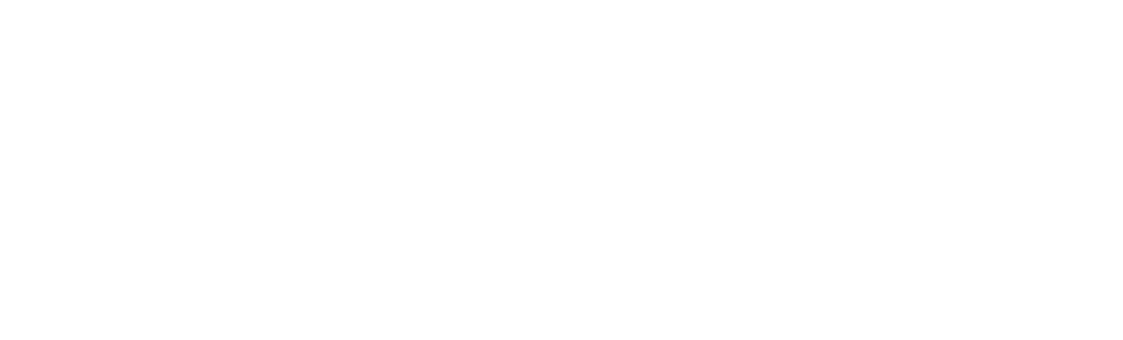 Vodafone logo in white