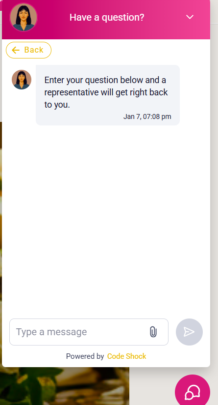 AI Assistant Live Chat Integration
