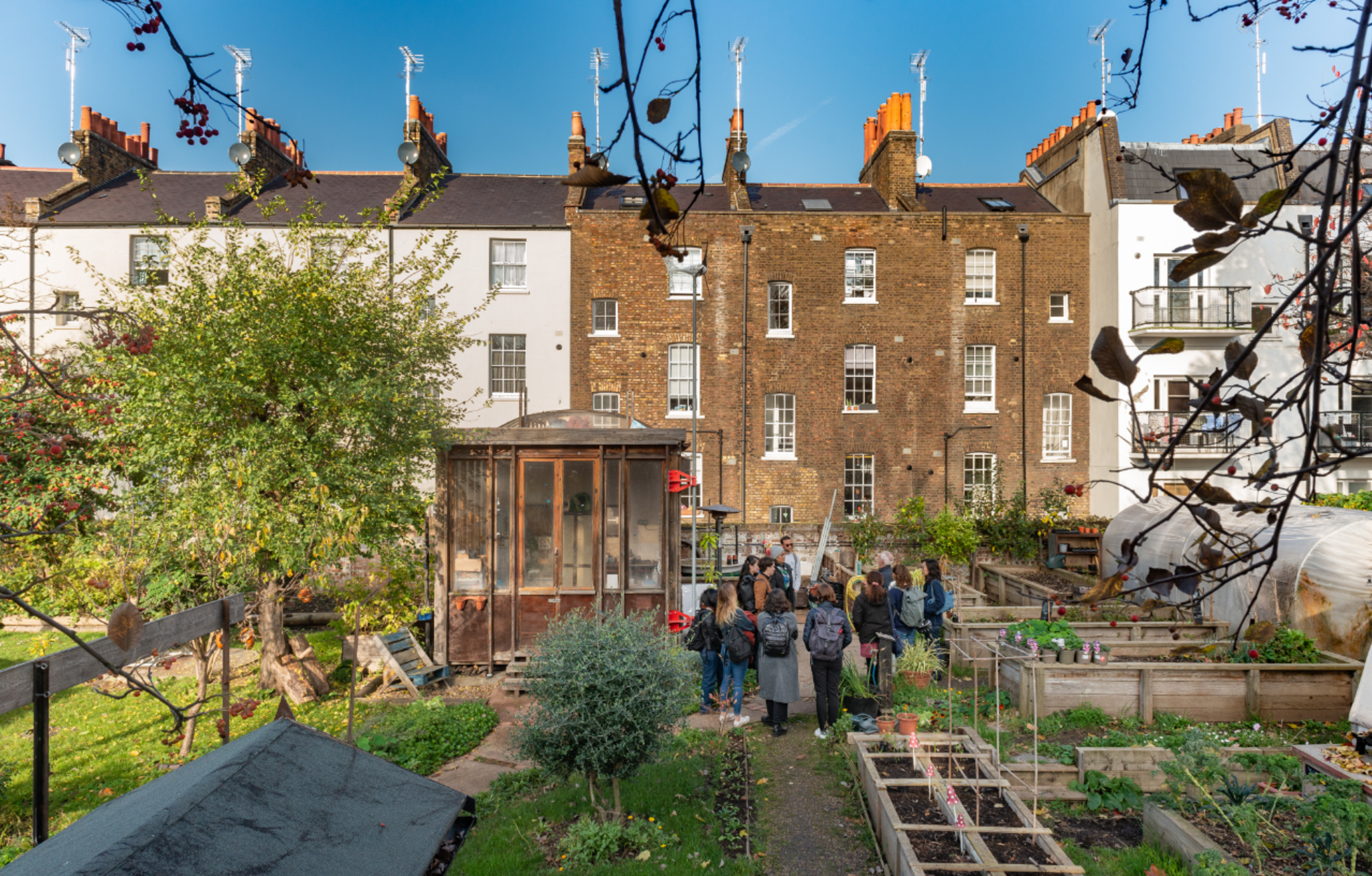 A small group speaking in an urban allotment, behind a row of terraced houses