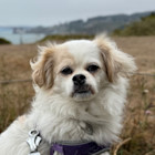 Charlie