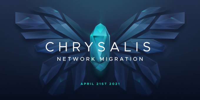 Chrysalis Migration