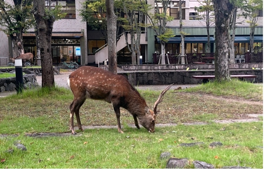 数理生物学会5