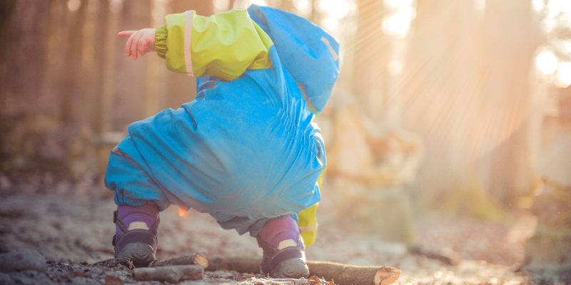 Why Do Pill Bugs Roll Up? | Aptive Environmental