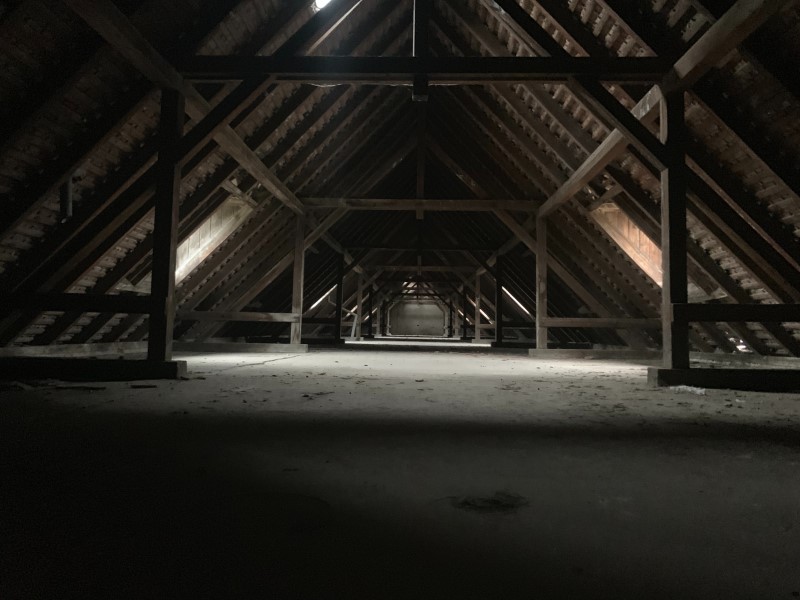 How To Keep Rodents Out Of Your Attic This Winter Aptive Environmental