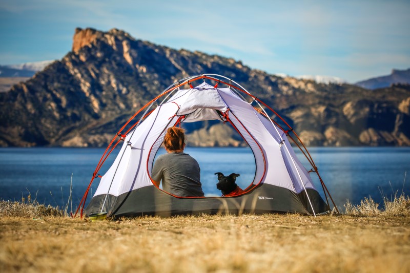 How to Protect Yourself from Ticks while Camping