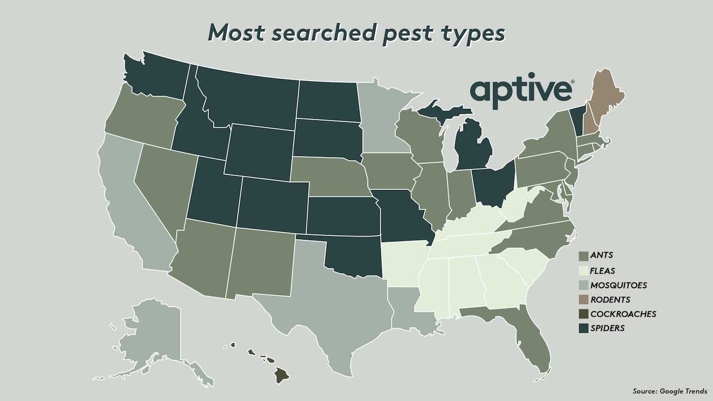 pest type search interest us map