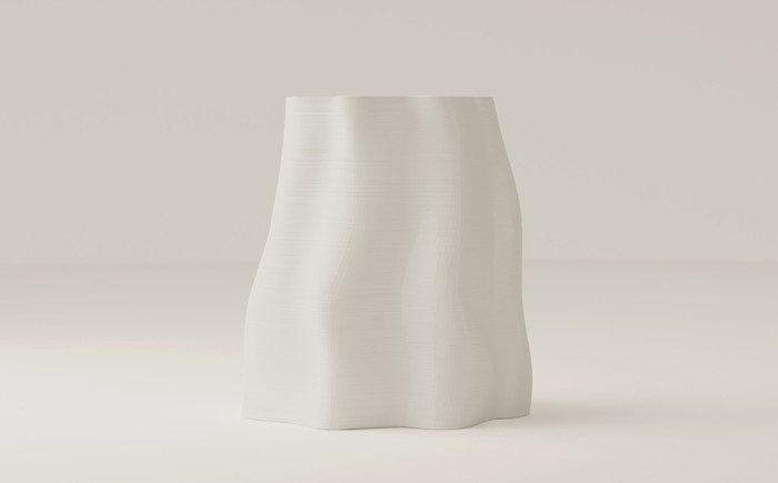 WhiteFront (1)
