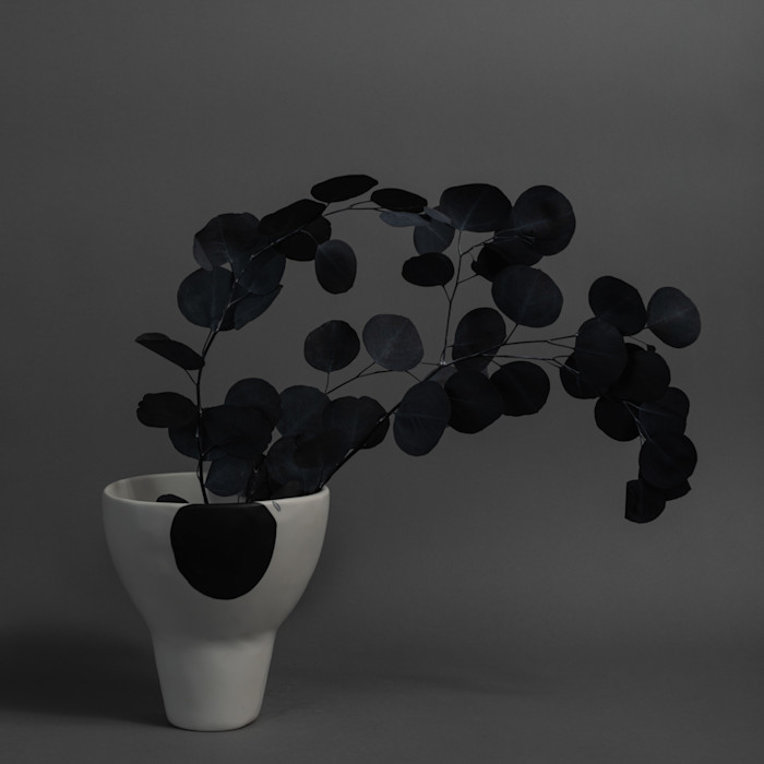 In Black Segar Design 691