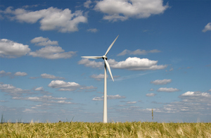 Wind turbine in a field.  