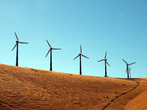 Image of five wind turbines on a field.