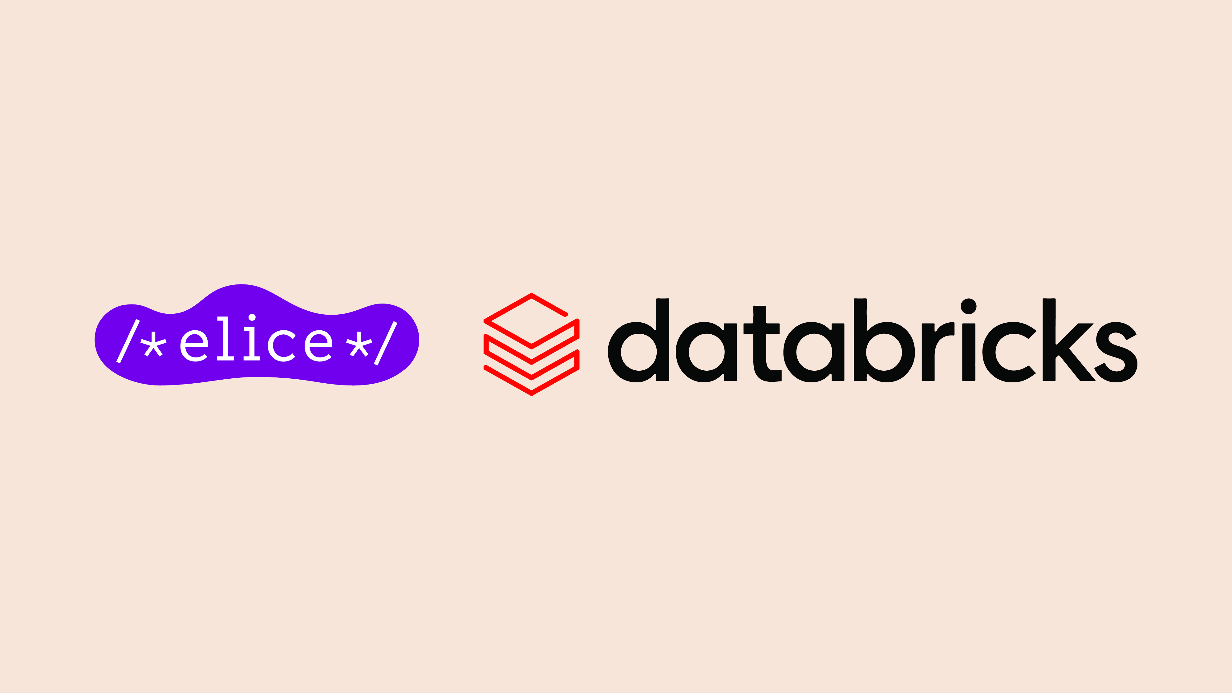 Elice, Inc. becomes the first domestic edutech company to enter into partnership with Databricks