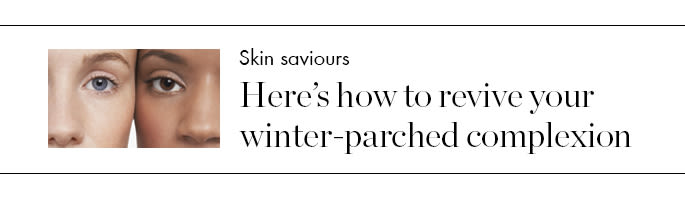 wk03 tc winter skin web link image v3
