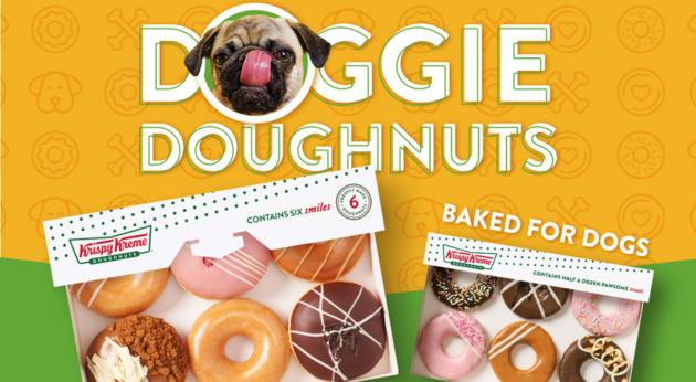 Doggie Doughuts at Krispy Kreme at Cabot Circus
