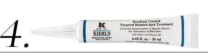 winter-skin wk2 web product-image 4