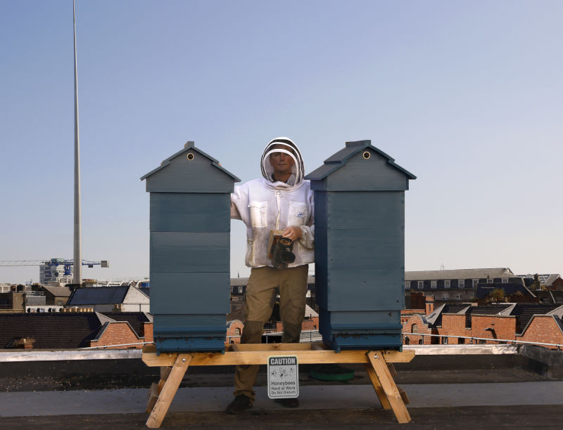 Hives on ILAC Roof 2021