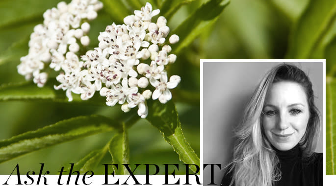 body shop web content image top 1