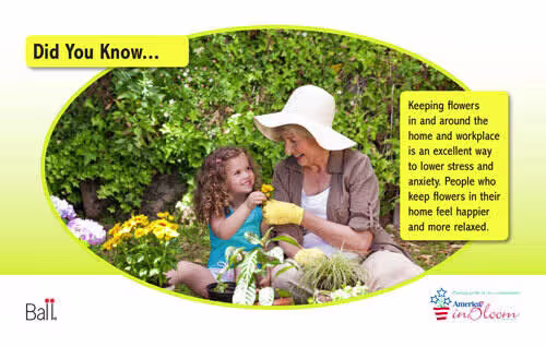 Retail PlantBenefit Benchcard 8