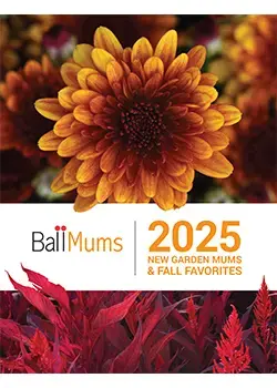 2025 NEW Garden Mums & Fall Favorites