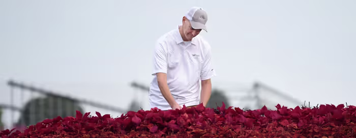 Ball Landscape trial location