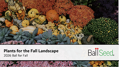 Trends and Tech Support on Demand at Ball for Fall 2026
