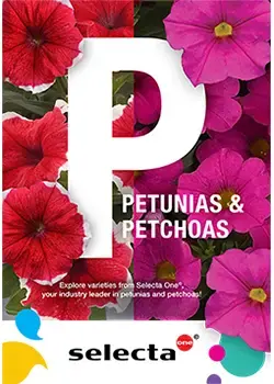 2026 Petunias & Petchoas Brochure