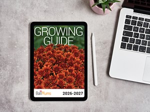 Mums Growing Guide on a tablet next to a laptop