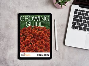 Mums Growing Guide on a tablet next to a laptop