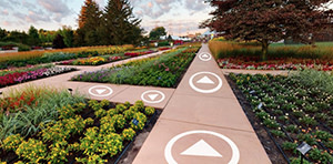 Virtual map of garden