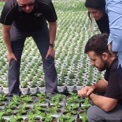 Proven Winners photo