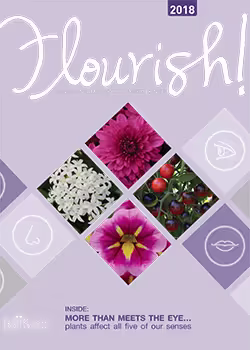 Retail Flourish 2018