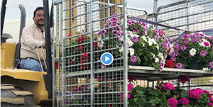 'You've been bloomed!' campaign in Texas